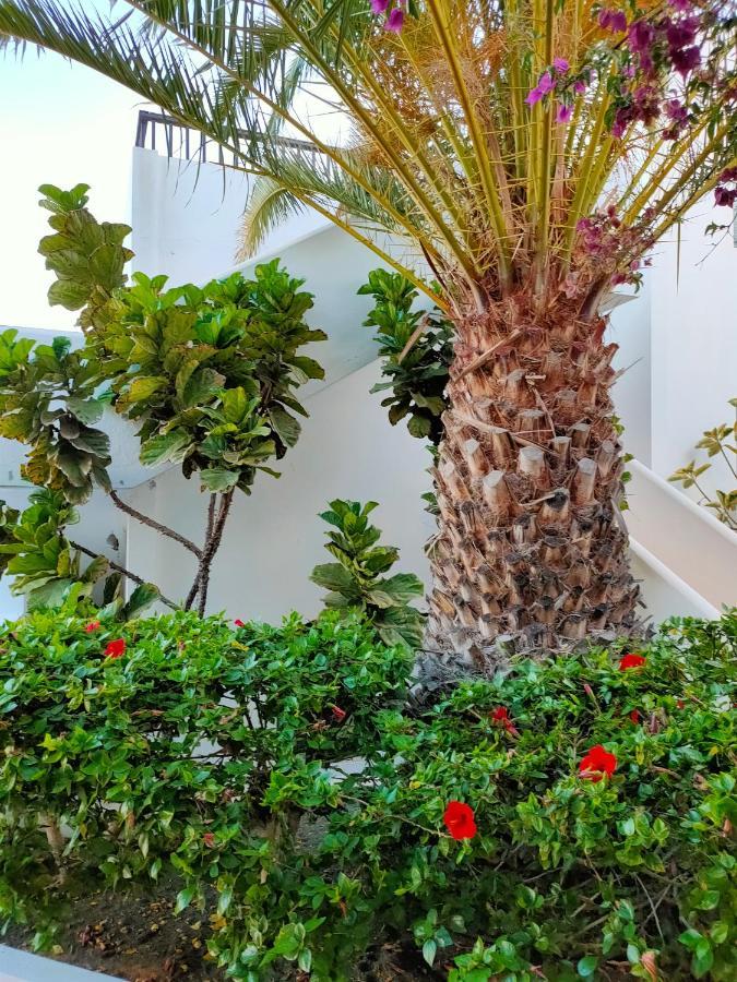 Flor De Cactus Leilighet Costa Teguise Eksteriør bilde
