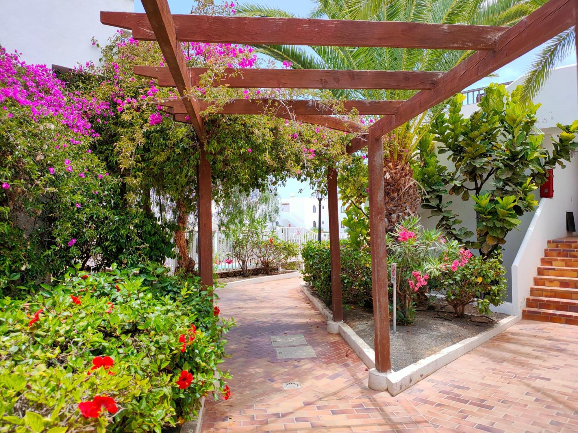 Flor De Cactus Leilighet Costa Teguise Rom bilde